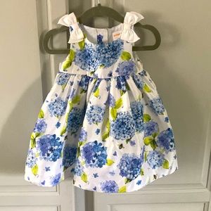White and Blue floral Gymboree dress with Bees